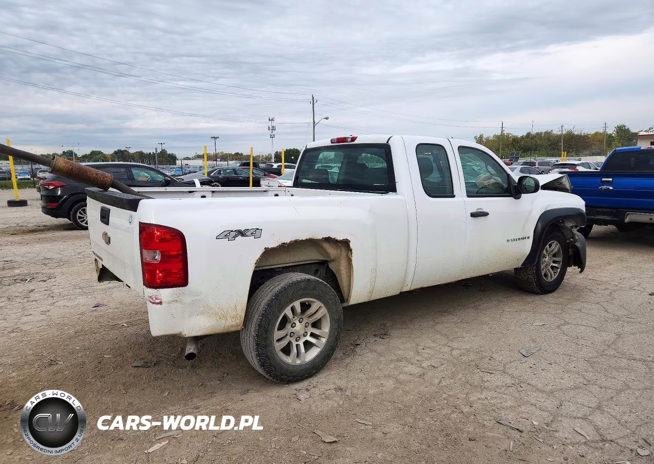2009 Chevrolet Silverado K1500 VIN:1GCEK19C29Z112360 - 3