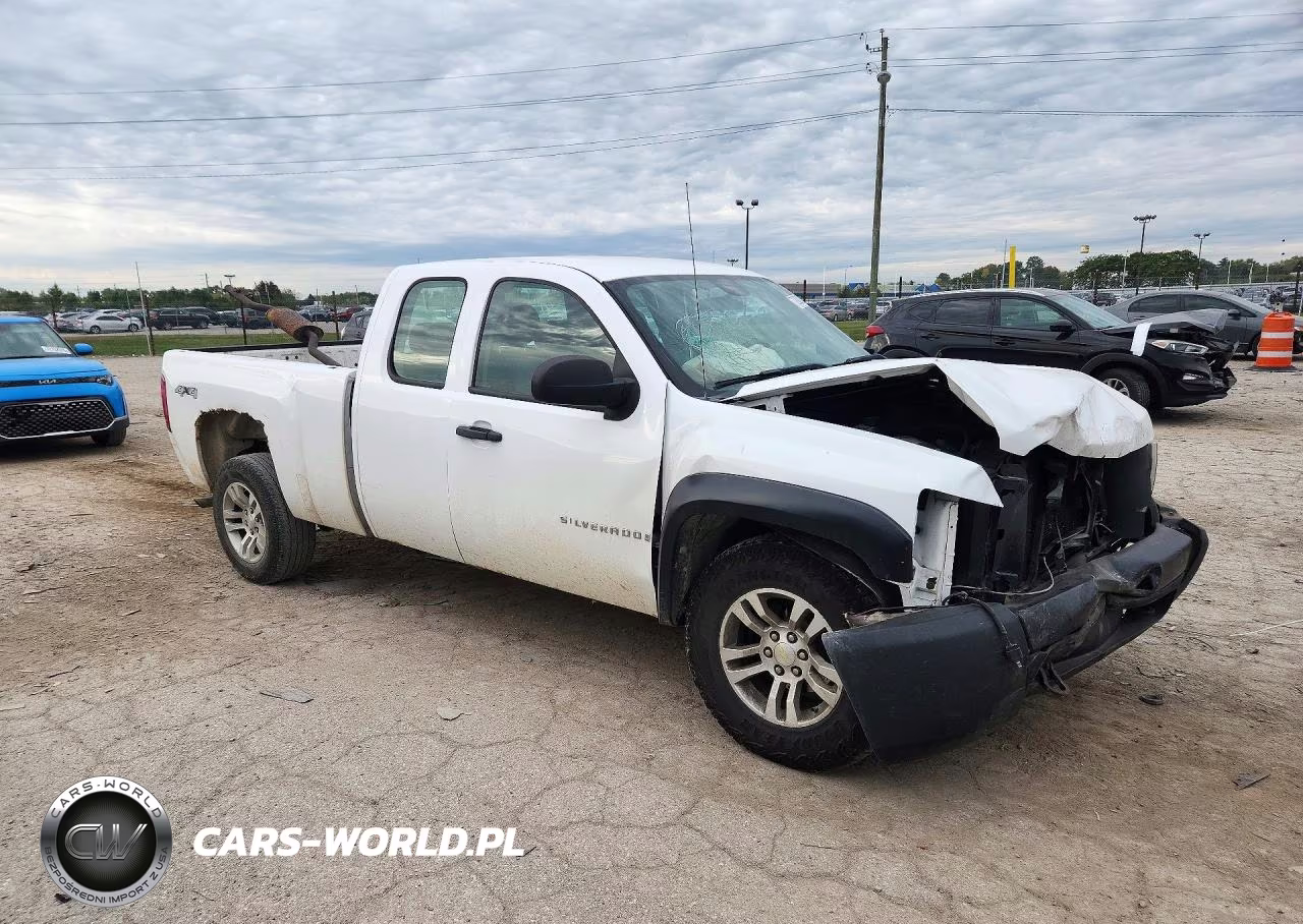 2009 Chevrolet Silverado K1500 VIN:1GCEK19C29Z112360 - 4