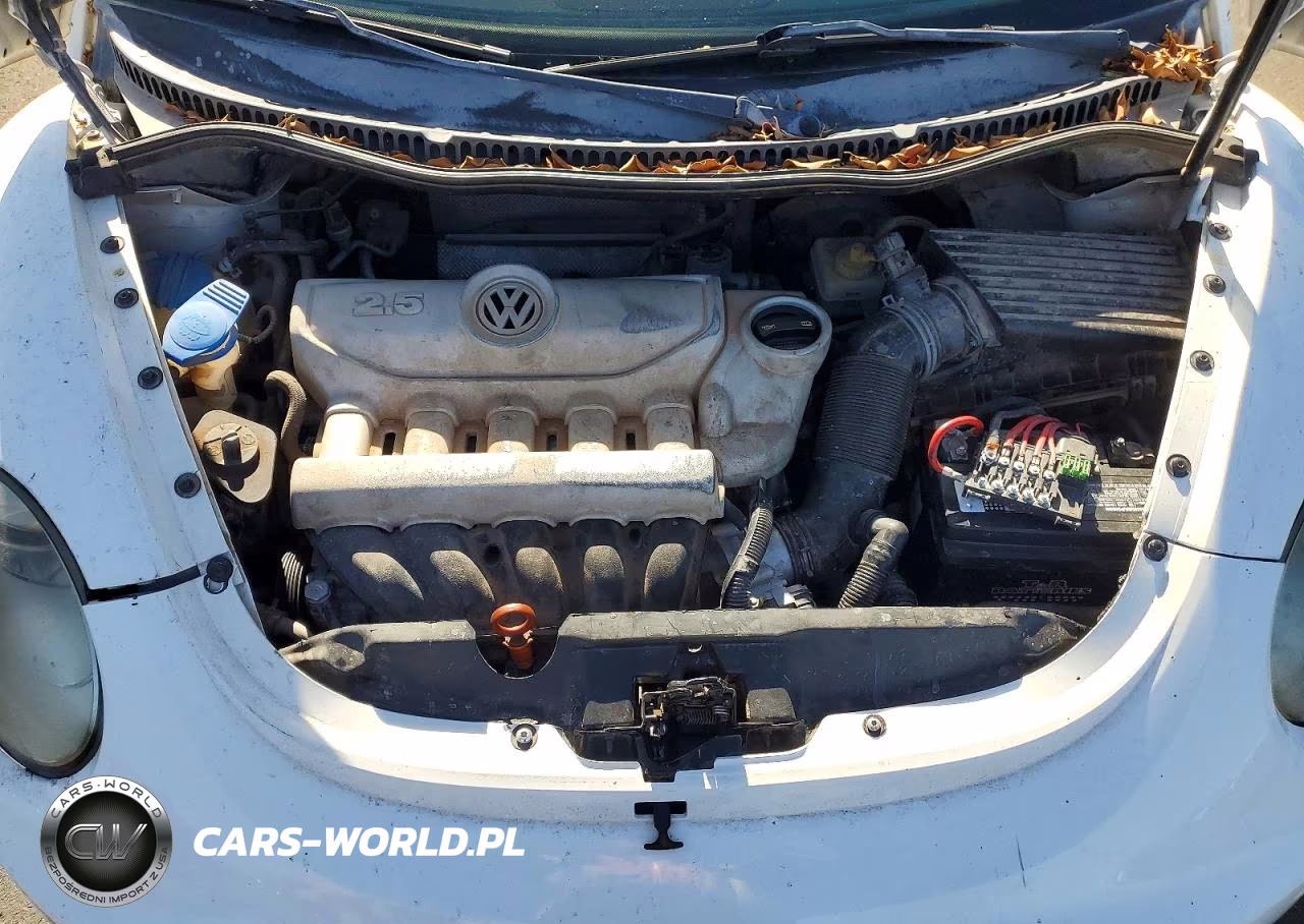 2010 Volkswagen New Beetle VIN:3VWPG3AG1AM011558 - 11
