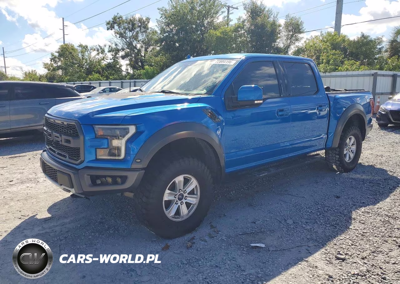 2019 Ford F150 Raptor VIN:1FTFW1RG8KFA53768 - 1