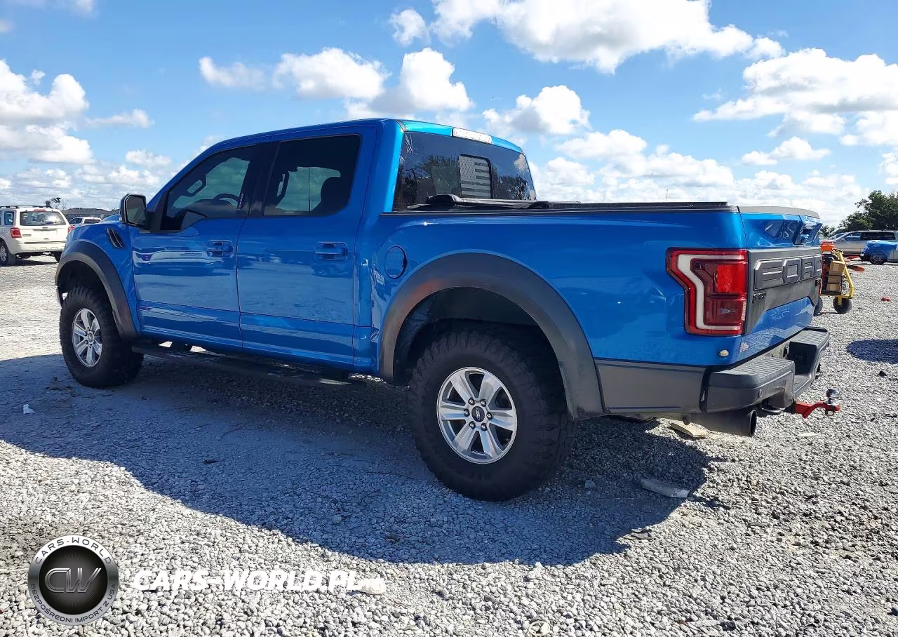 2019 Ford F150 Raptor VIN:1FTFW1RG8KFA53768 - 2