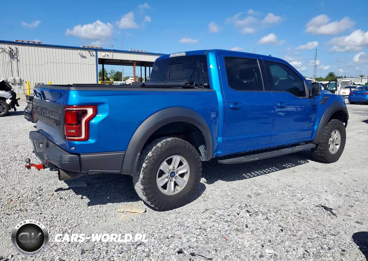 2019 Ford F150 Raptor VIN:1FTFW1RG8KFA53768 - 3