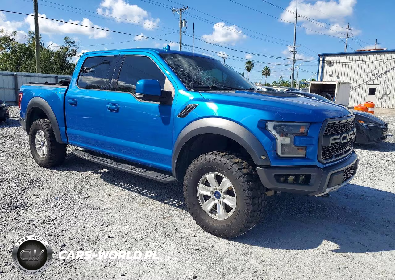 2019 Ford F150 Raptor VIN:1FTFW1RG8KFA53768 - 4