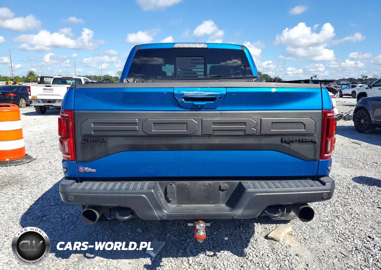 2019 Ford F150 Raptor VIN:1FTFW1RG8KFA53768 - 6