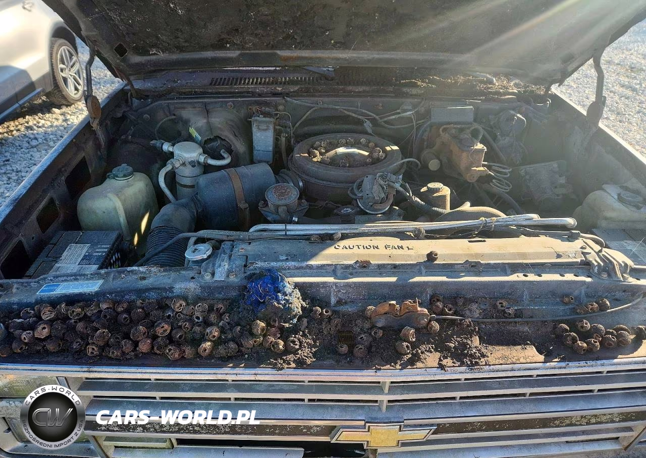 1985 Chevrolet C20 VIN:2GCGC24J4F1132518 - 11