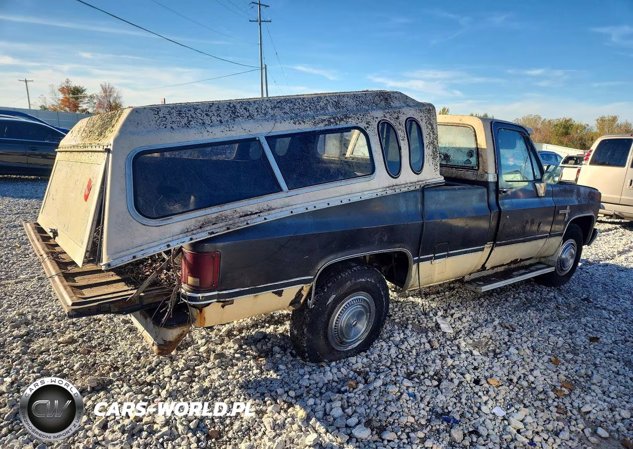1985 Chevrolet C20 VIN:2GCGC24J4F1132518 - 3