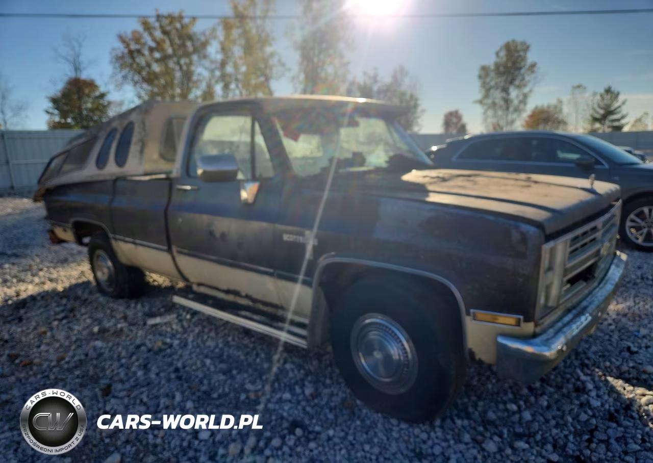 1985 Chevrolet C20 VIN:2GCGC24J4F1132518 - 4