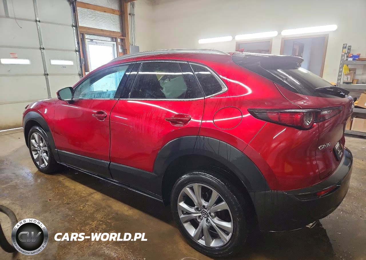 2021 Mazda Cx-30 Premium VIN:3MVDMADLXMM258964 - 2