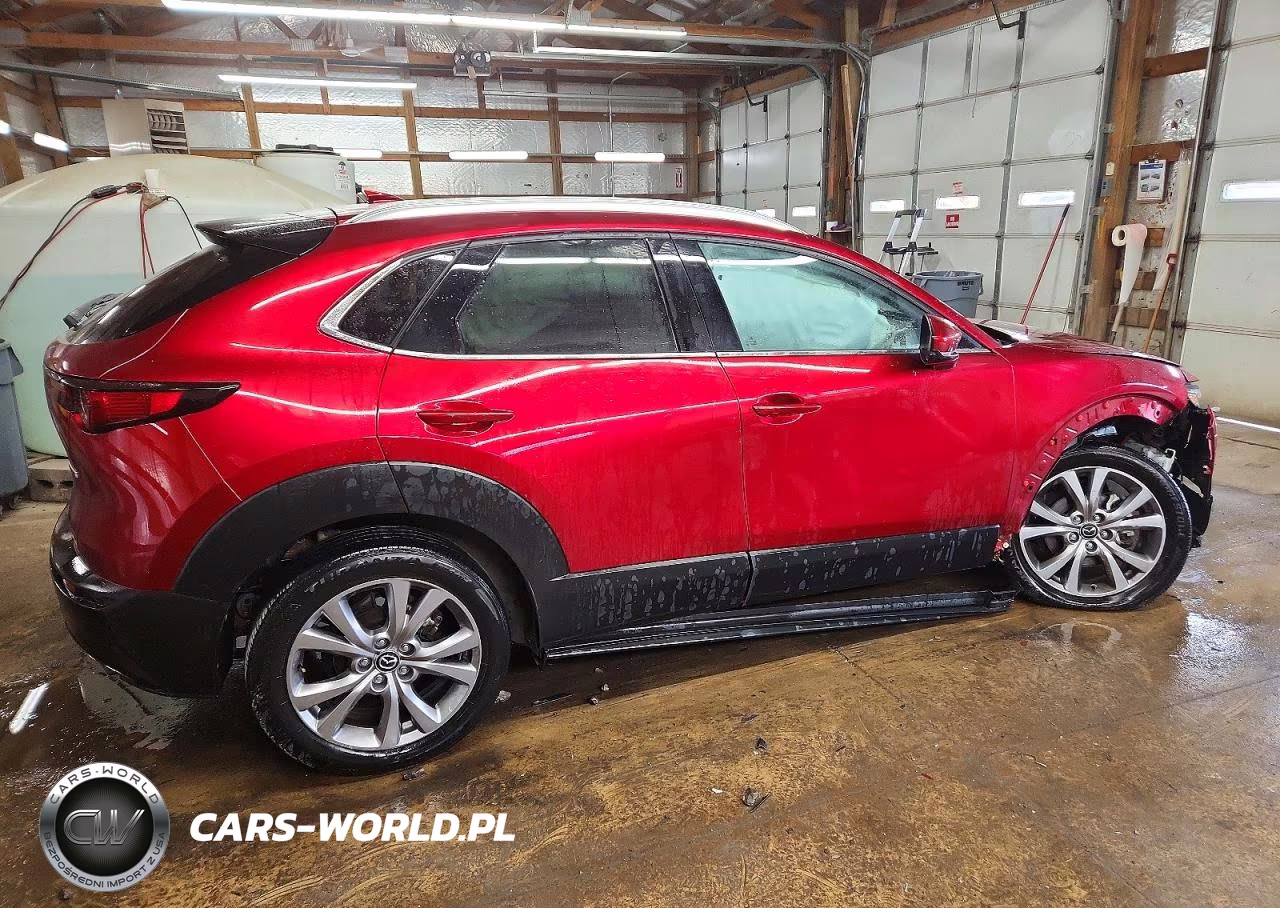 2021 Mazda Cx-30 Premium VIN:3MVDMADLXMM258964 - 3