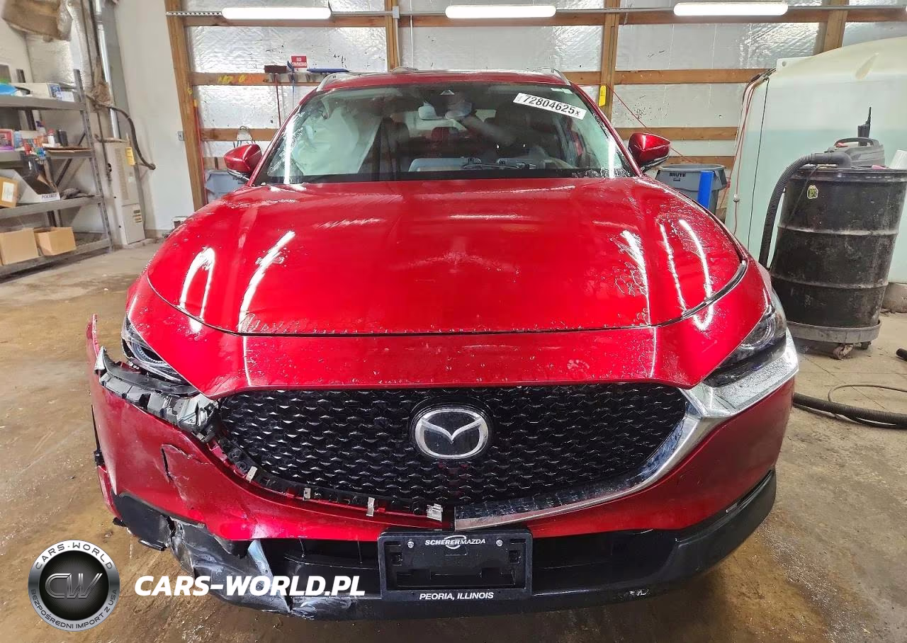 2021 Mazda Cx-30 Premium VIN:3MVDMADLXMM258964 - 5