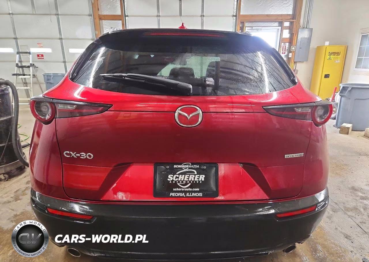 2021 Mazda Cx-30 Premium VIN:3MVDMADLXMM258964 - 6