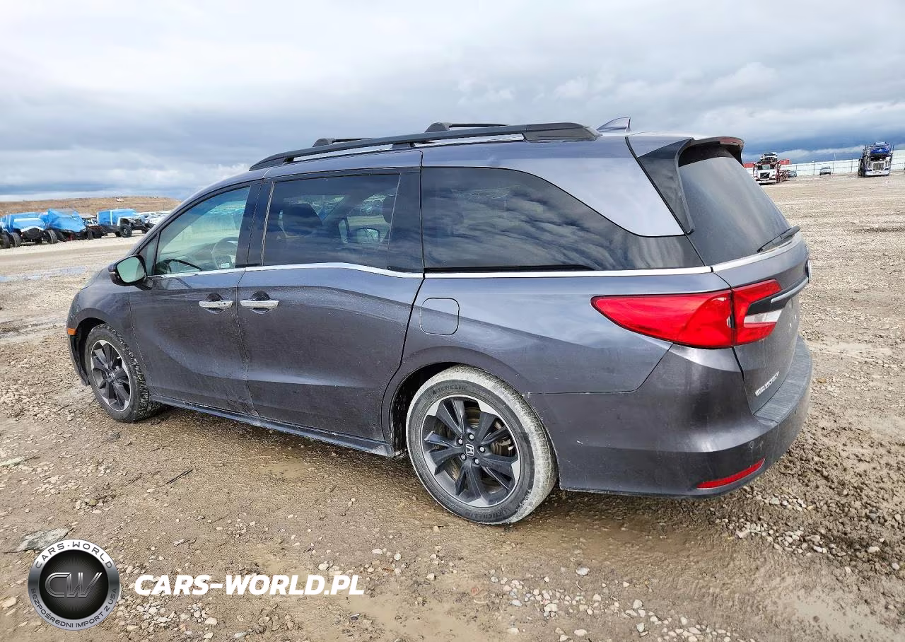 2022 Honda Odyssey Elite VIN:5FNRL6H91NB004605 - 2