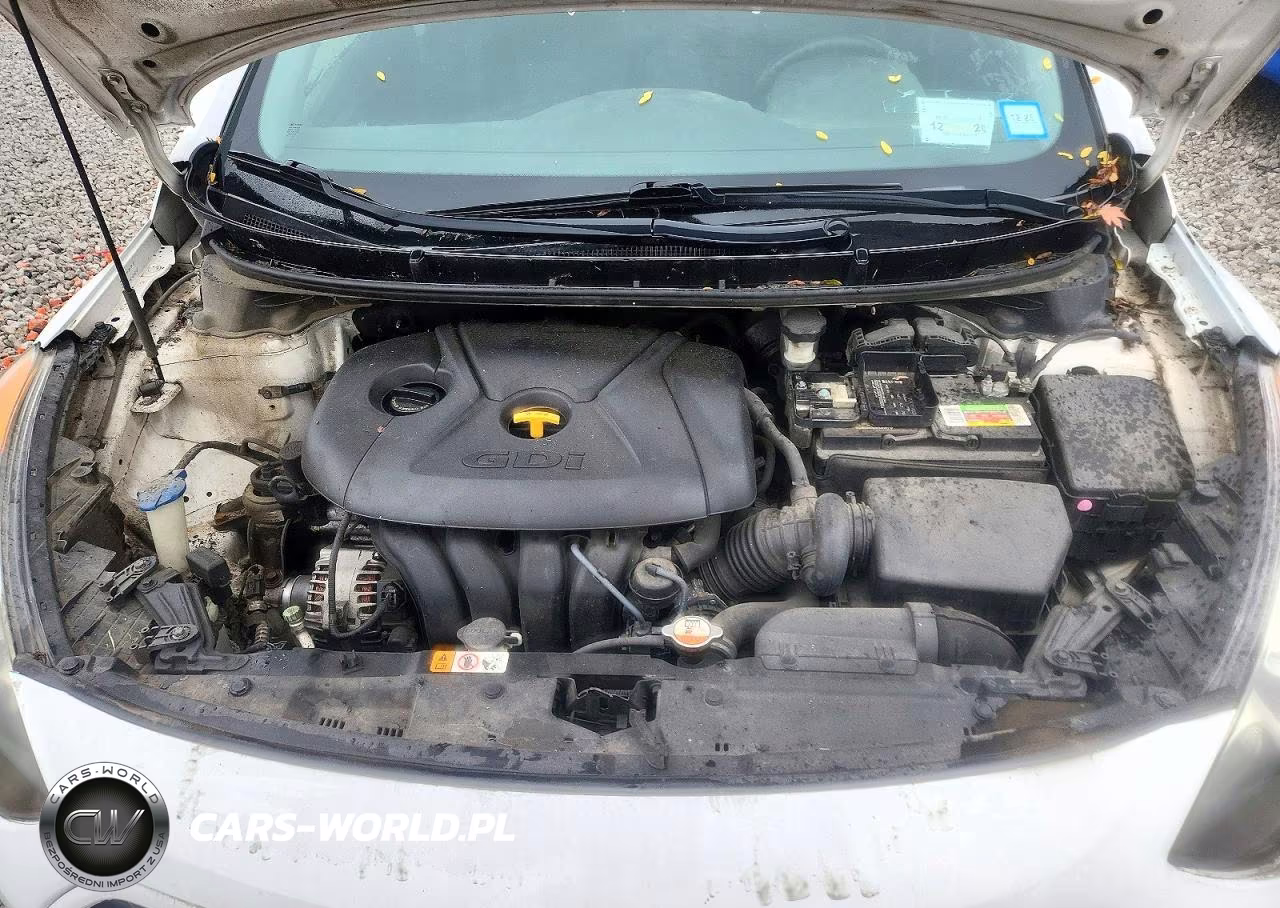 2017 Hyundai Elantra Gt Base VIN:KMHD35LH9HU370144 - 11