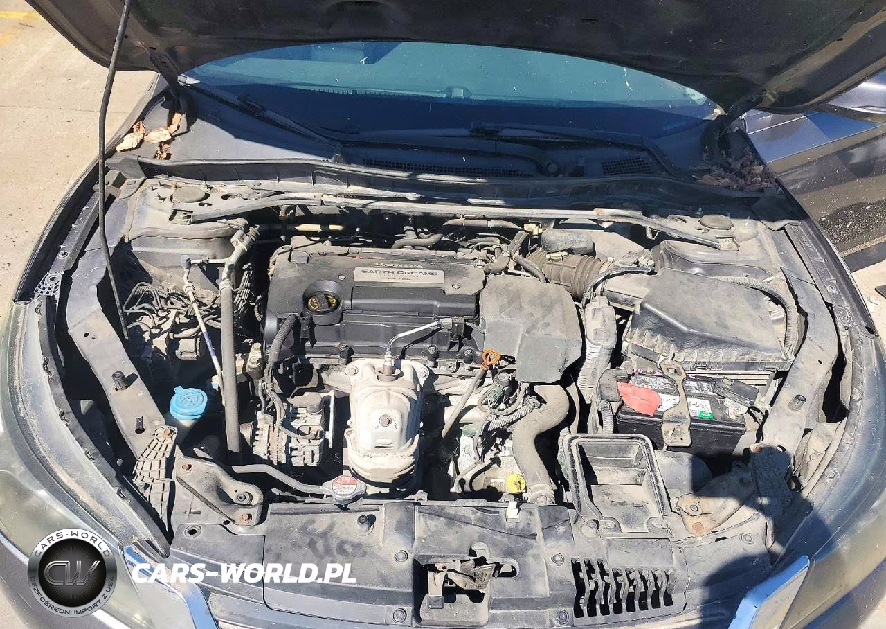 2013 Honda Accord Exl VIN:1HGCR2F84DA221274 - 11