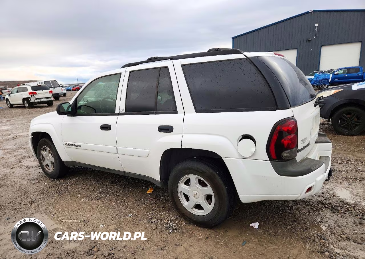 2002 Chevrolet Trailblazer VIN:1GNDT13S322427344 - 2