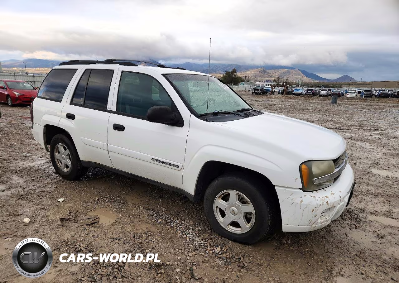 2002 Chevrolet Trailblazer VIN:1GNDT13S322427344 - 4