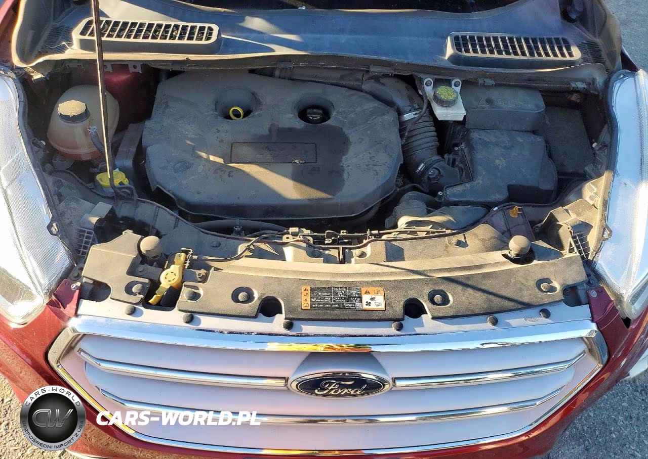 2019 Ford Escape Se VIN:1FMCU0G97KUB12100 - 11