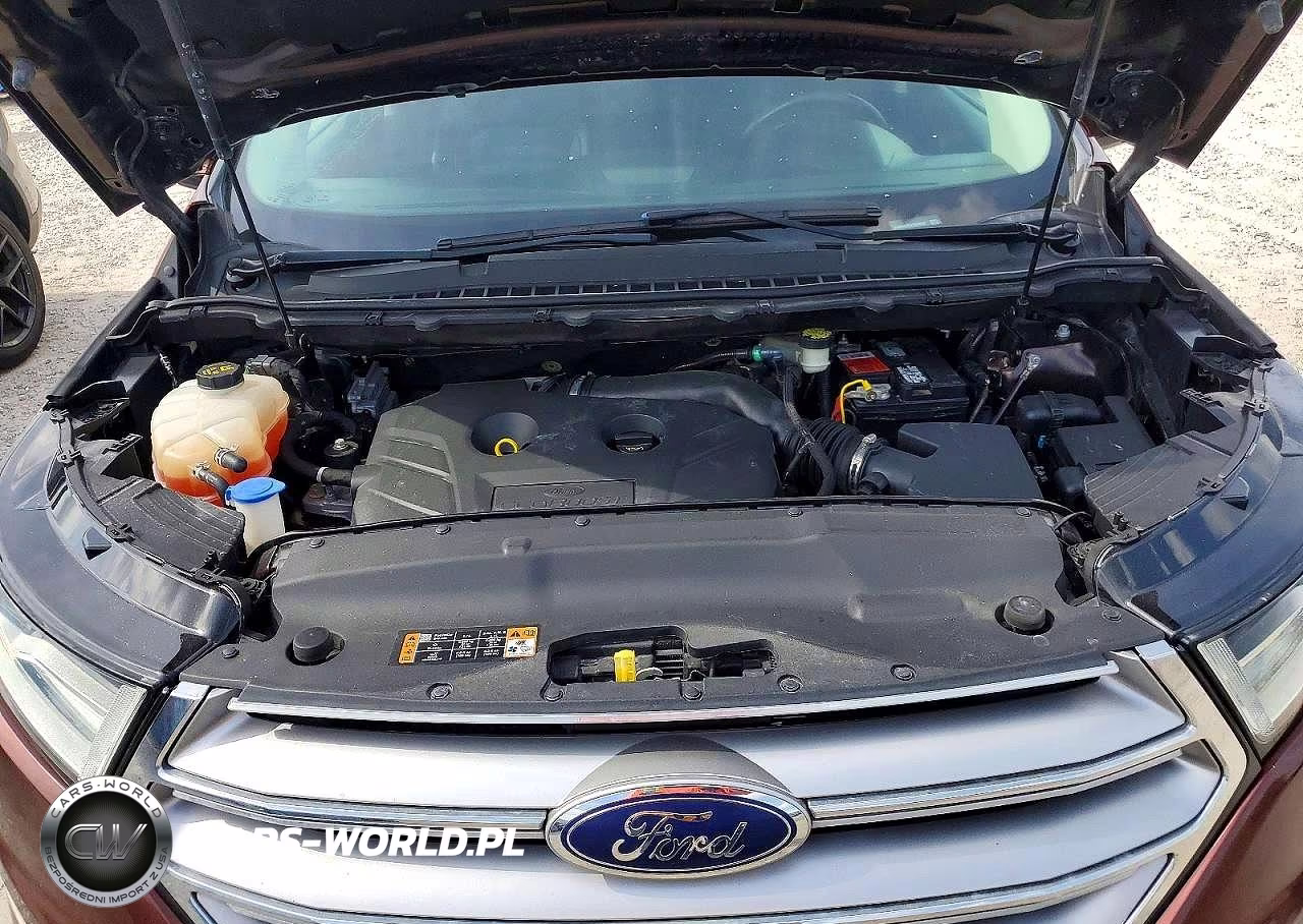 2015 FORD EDGE SEL SEL VIN:2FMTK4J93FBB89807 - 12