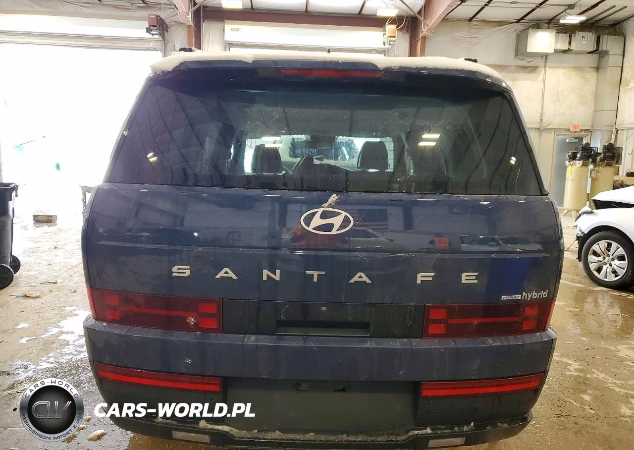 2025 Hyundai Santa Fe Sel VIN:5NMP2DG14SH067671 - 6