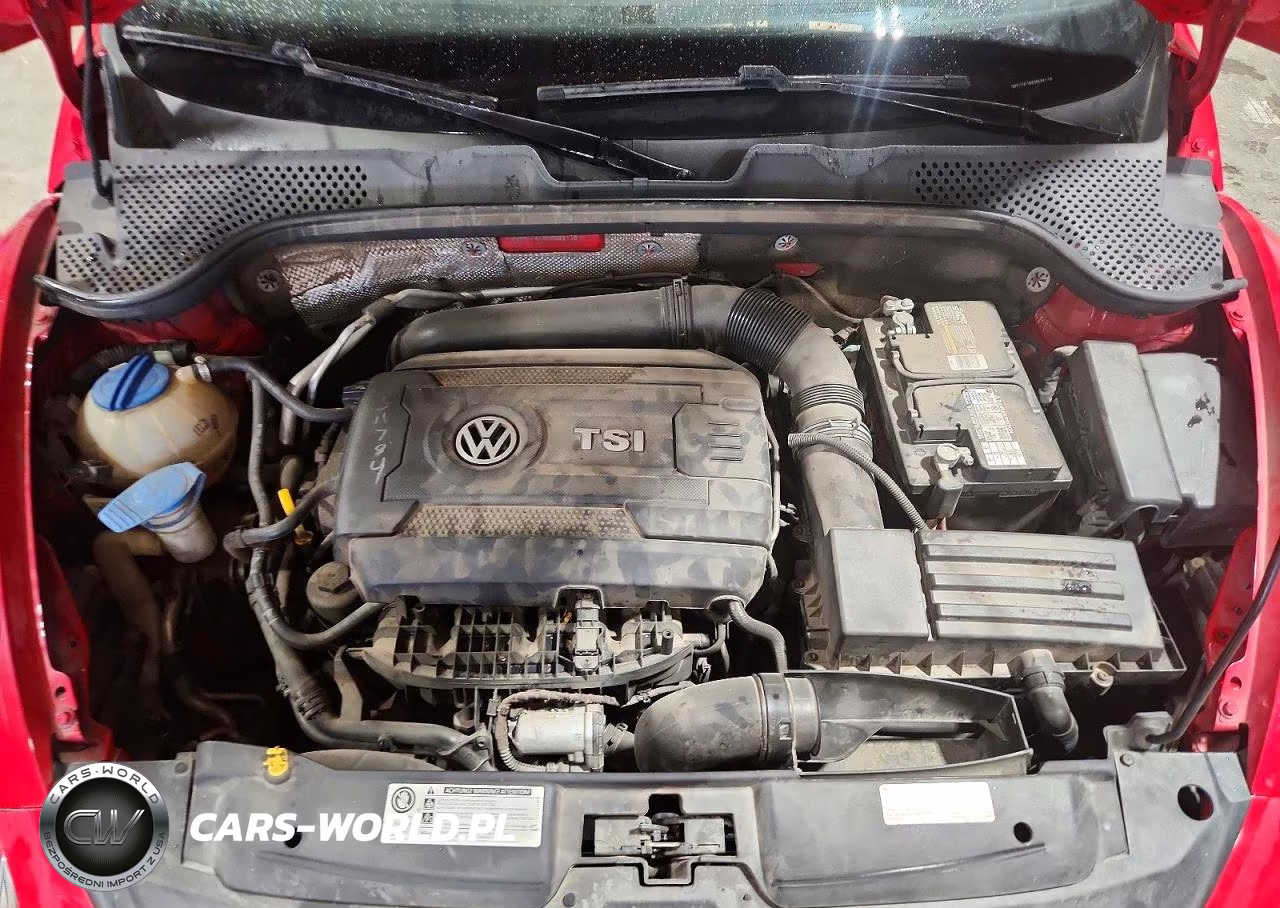 2014 Volkswagen Beetle VIN:3VWF17AT8EM638118 - 11