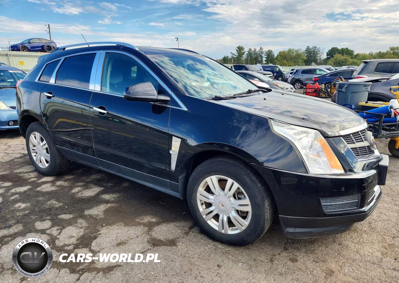 2010 Cadillac Srx Luxury Collection VIN:3GYFNAEYXAS547393 - 4