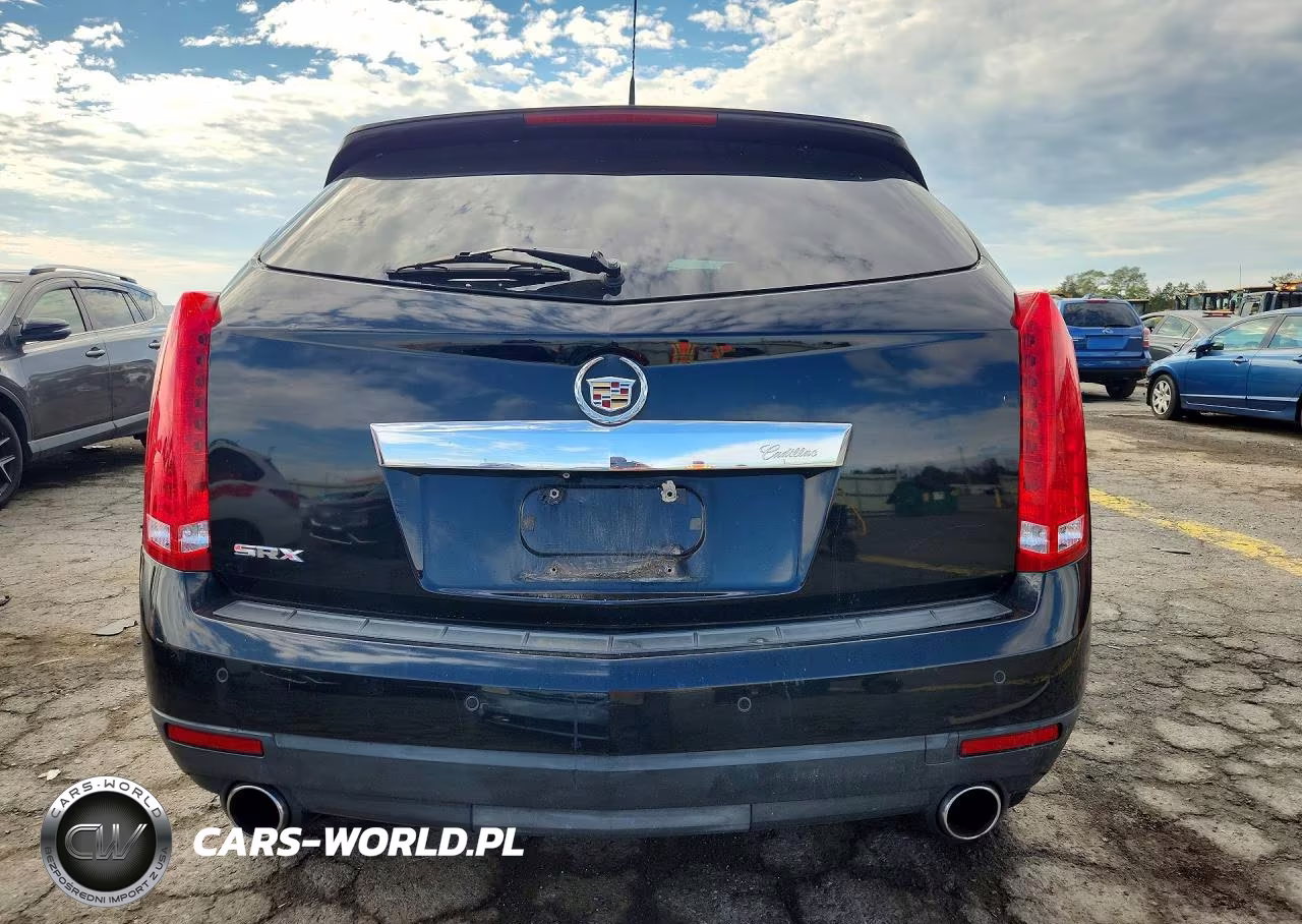 2010 Cadillac Srx Luxury Collection VIN:3GYFNAEYXAS547393 - 6