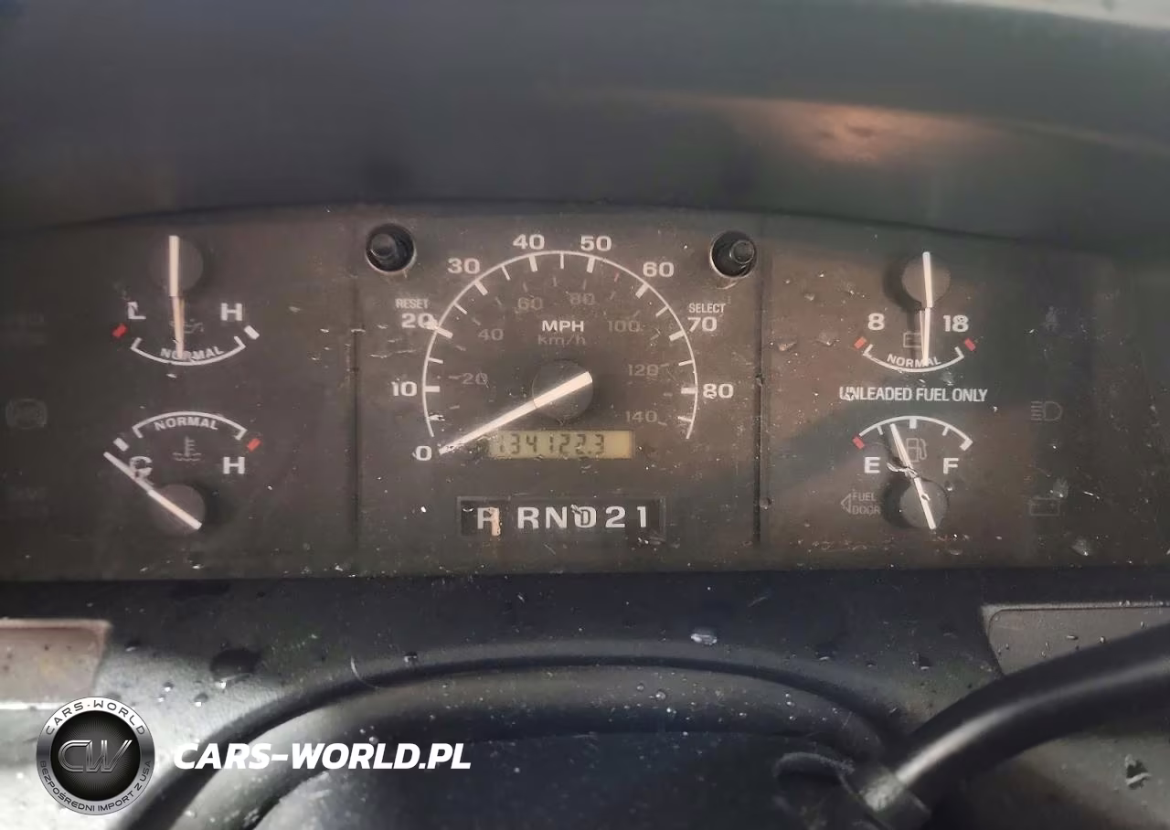 1995 Ford F150 VIN:1FTDF15Y6SNA64943 - 9