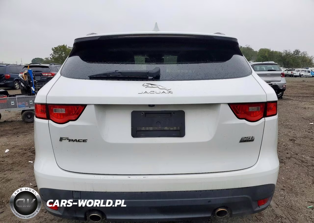 2018 Jaguar F-Pace Premium VIN:SADCJ2FX0JA325984 - 6
