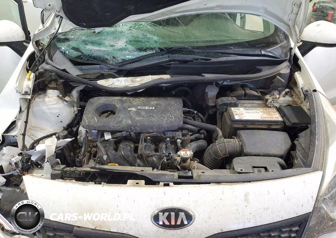2017 Kia Rio Lx VIN:KNADM4A36H6113530 - 11