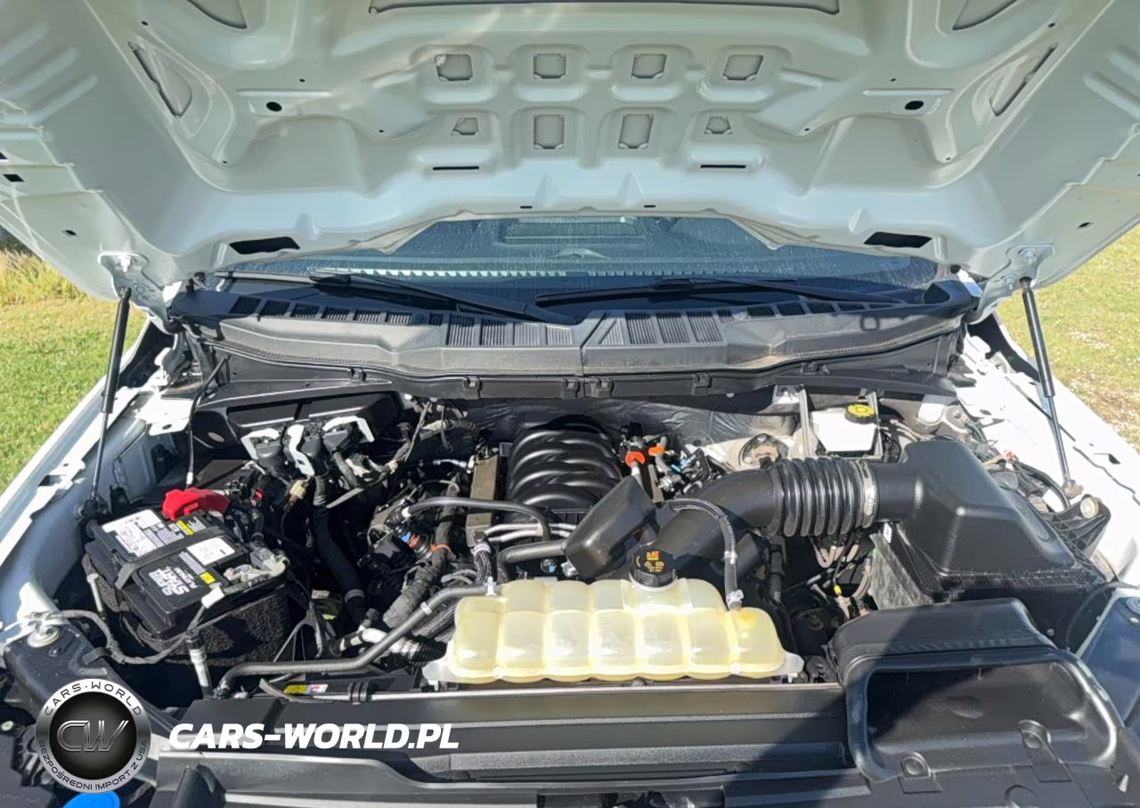 2023 Ford F-150 Xl VIN:1FTFW1E51PKD13592 - 7