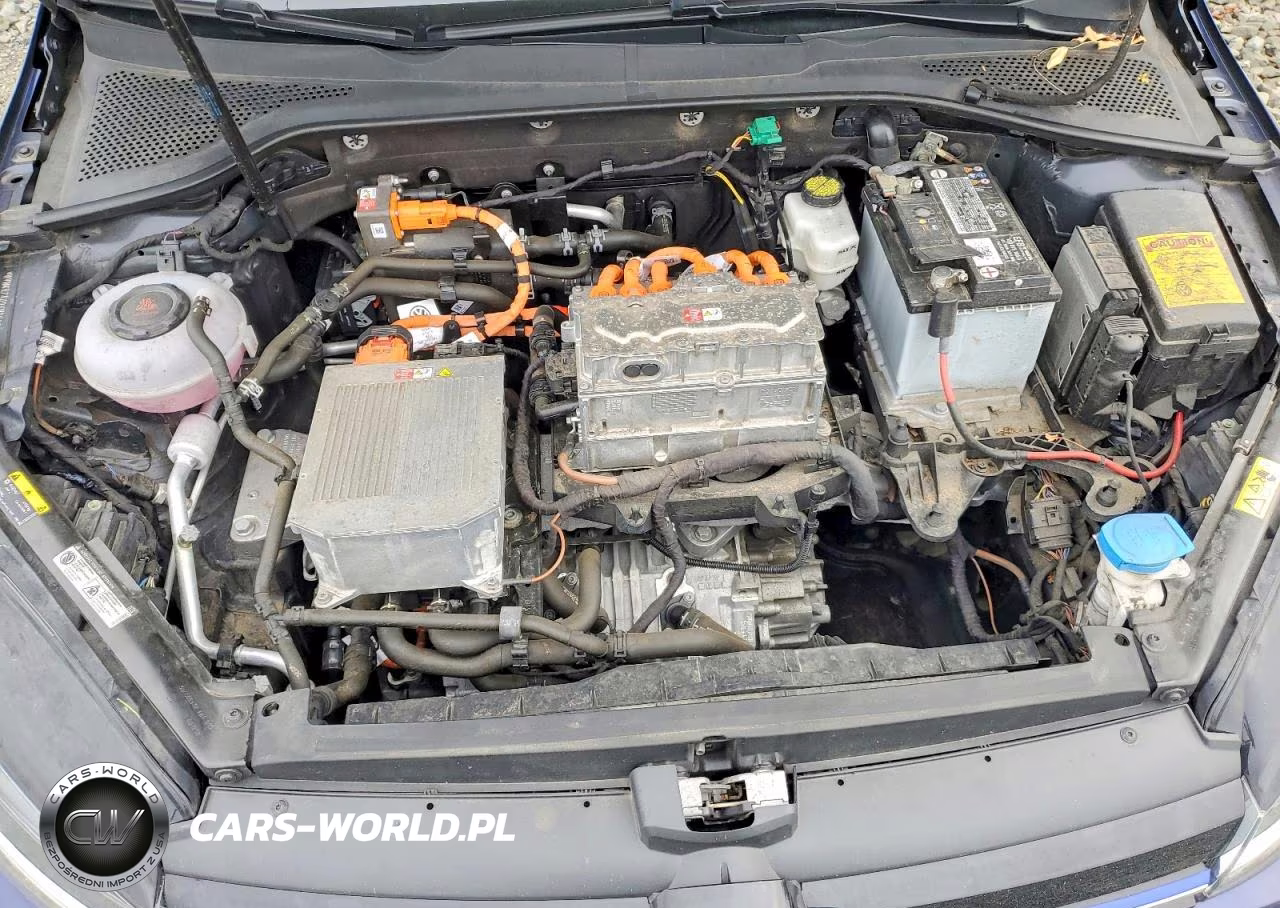 2019 Volkswagen E-Golf Se VIN:WVWKR7AU9KW908262 - 11