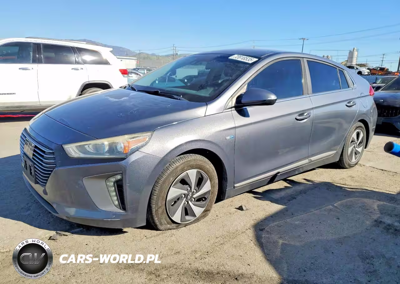2019 Hyundai Ioniq Sel