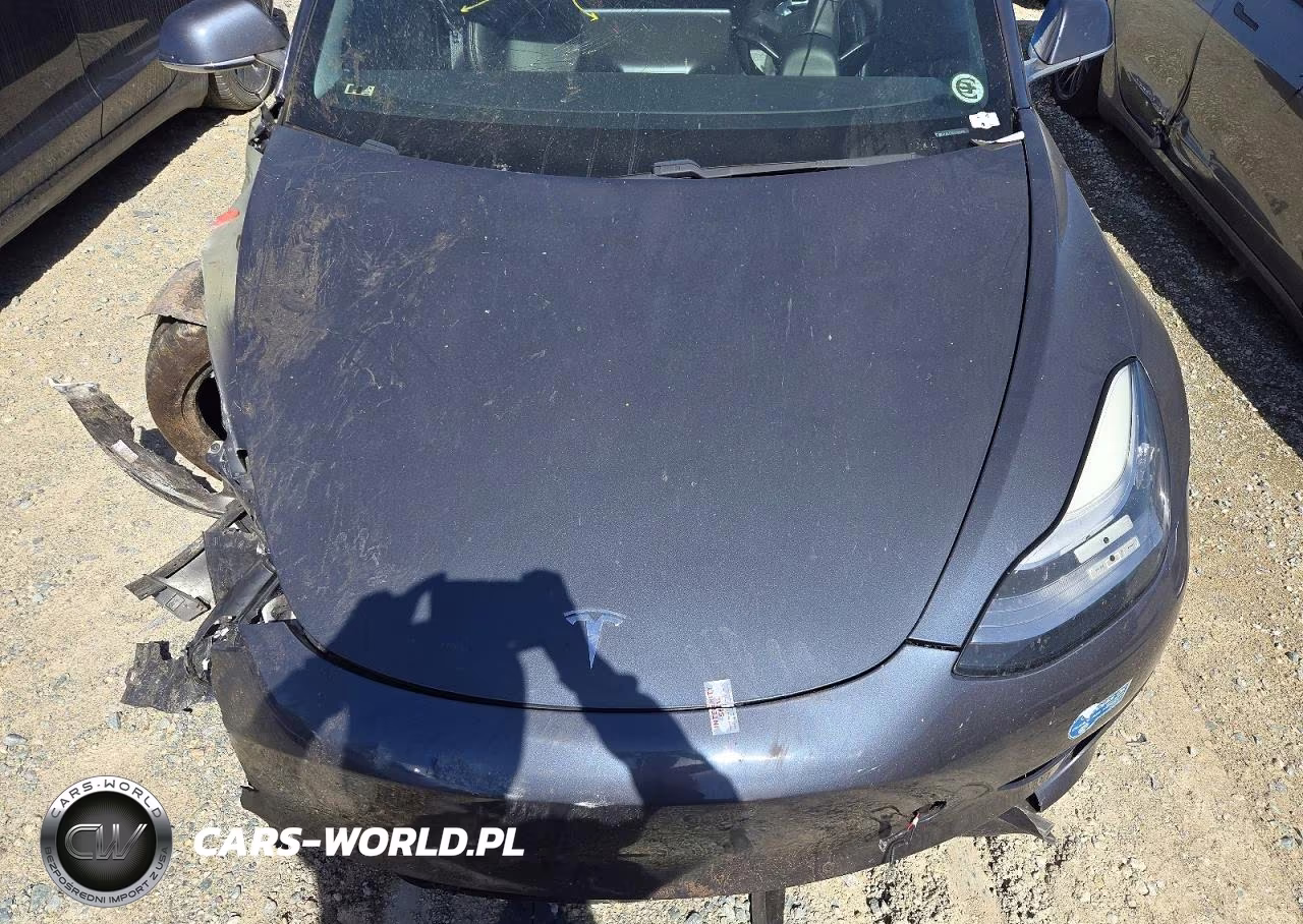 2020 Tesla Model 3 VIN:5YJ3E1EA0LF804486 - 11