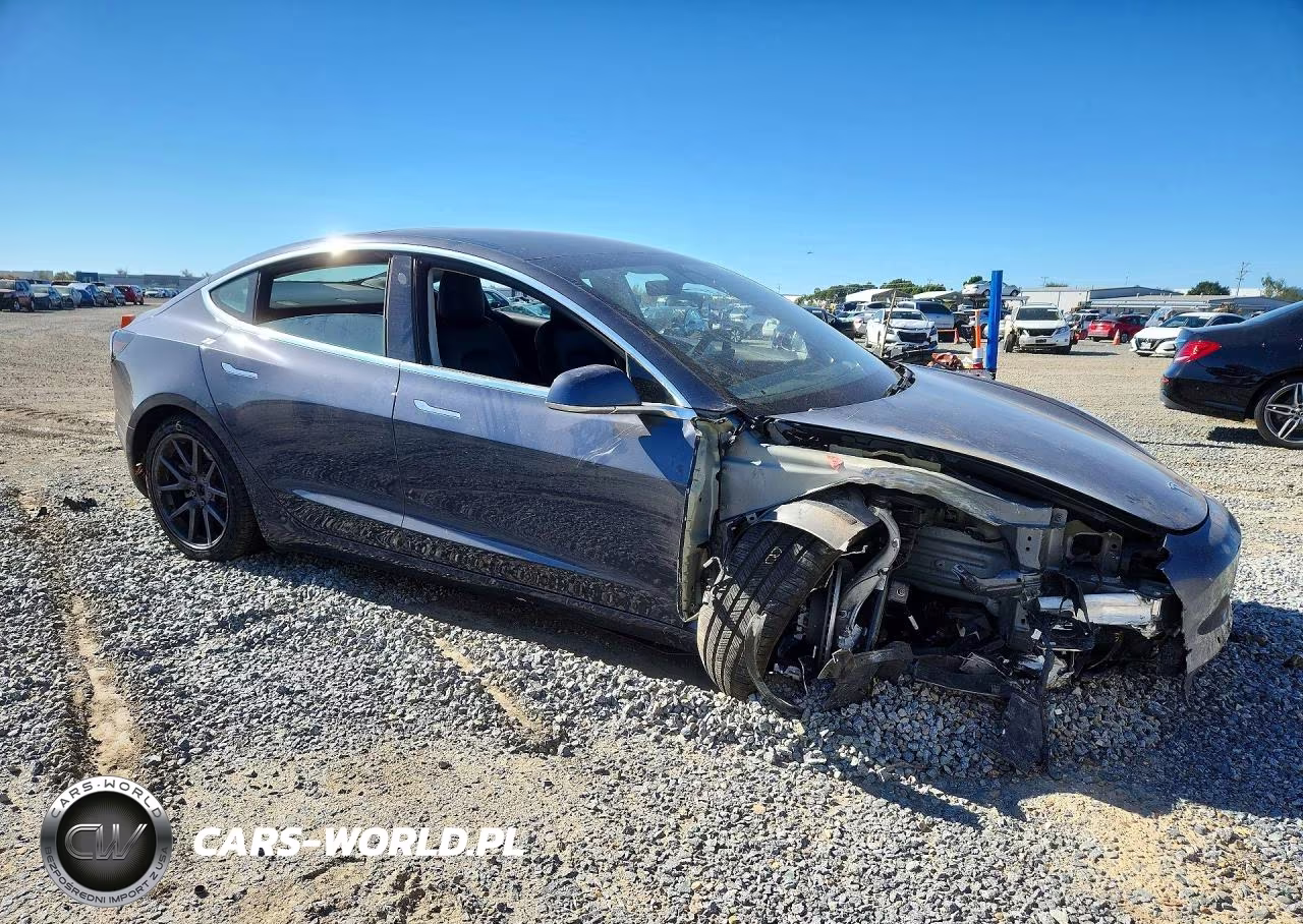 2020 Tesla Model 3 VIN:5YJ3E1EA0LF804486 - 4