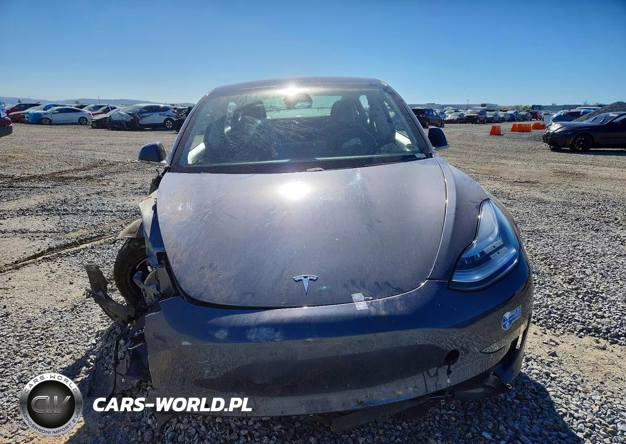 2020 Tesla Model 3 VIN:5YJ3E1EA0LF804486 - 5