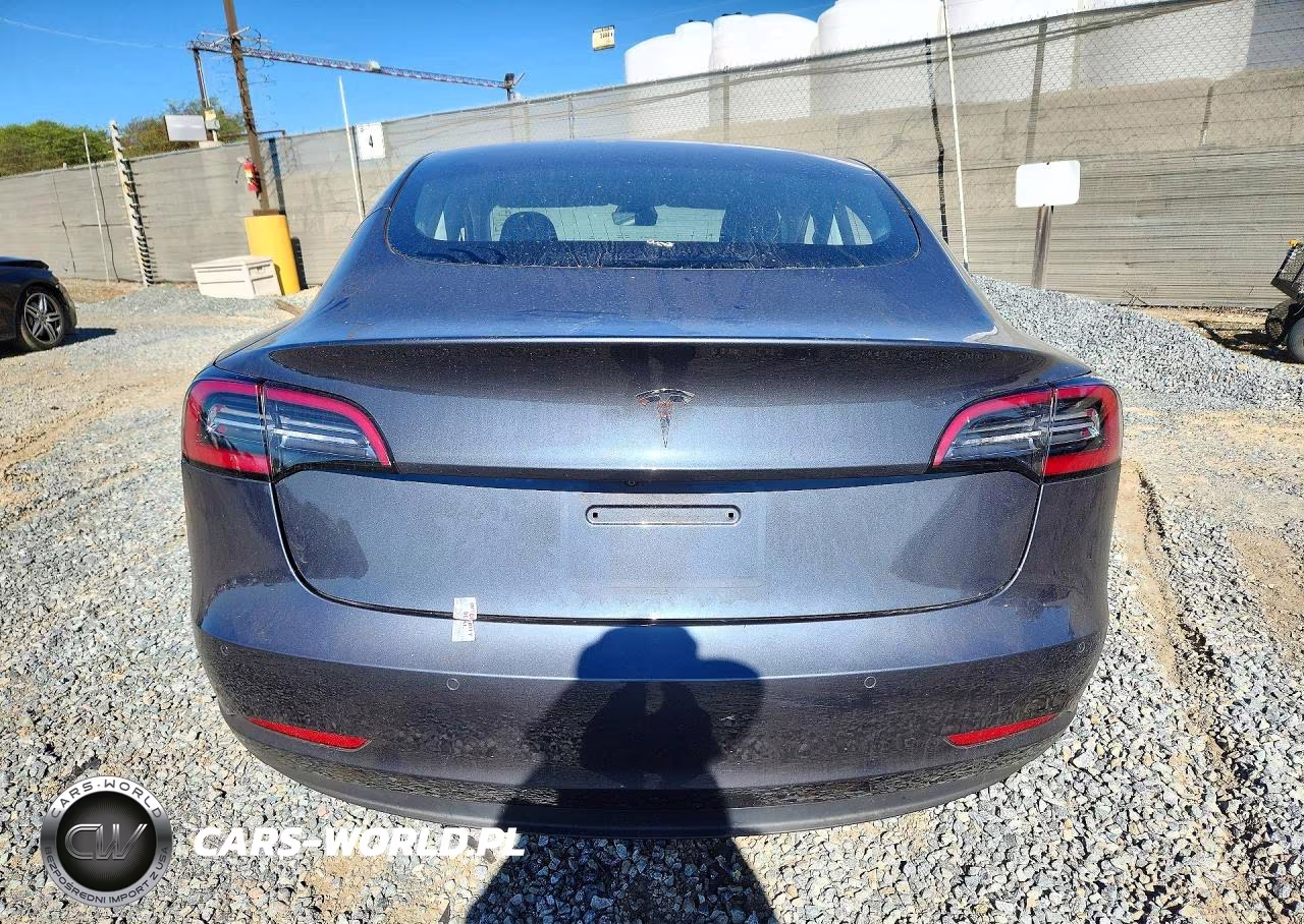 2020 Tesla Model 3 VIN:5YJ3E1EA0LF804486 - 6