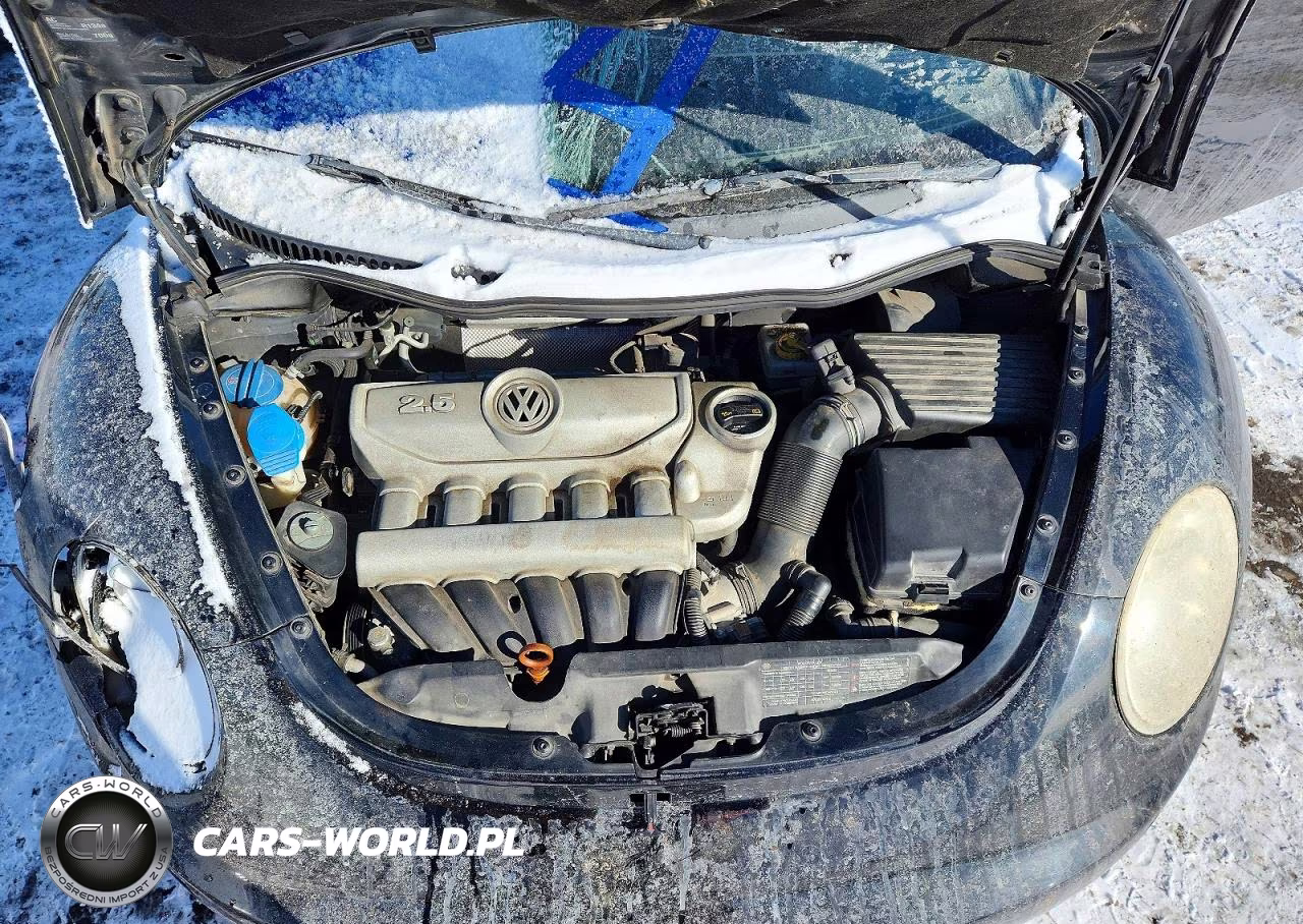 2010 Volkswagen New Beetle VIN:3VWPG3AG3AM007558 - 11