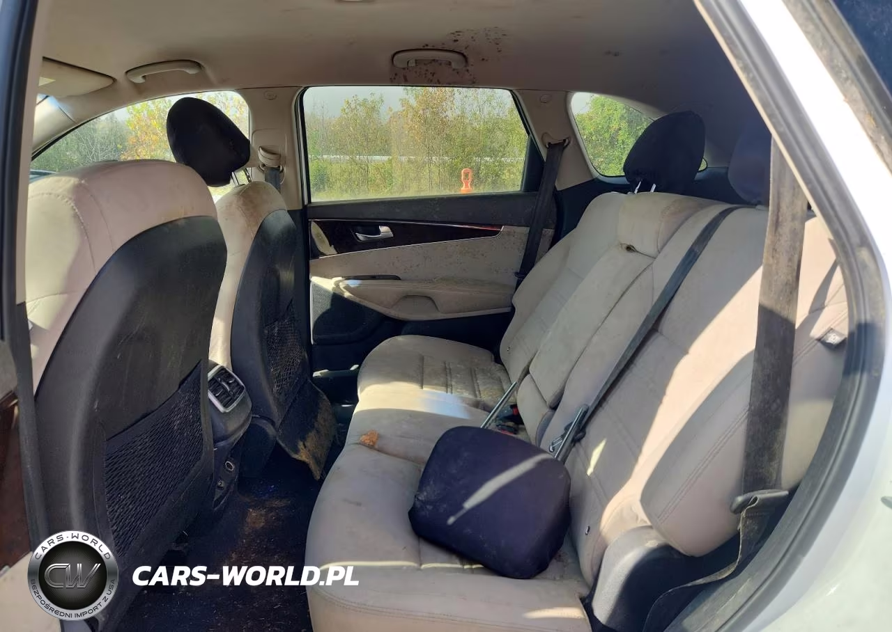 2016 Kia Sorento Lx V6 VIN:5XYPGDA56GG045959 - 11
