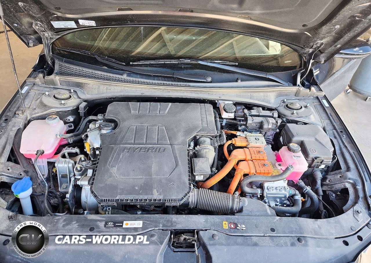 2025 Hyundai Elantra Hybrid Sel Sport VIN:KMHLM4DJ9SU160963 - 11