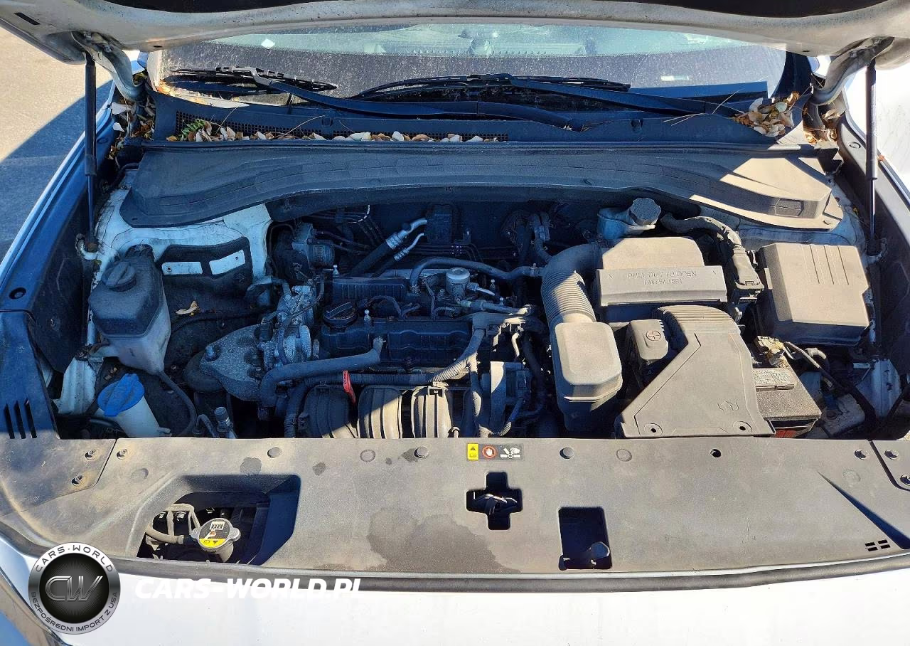 2019 Hyundai Santa Fe Se VIN:5NMS2CAD3KH055177 - 12