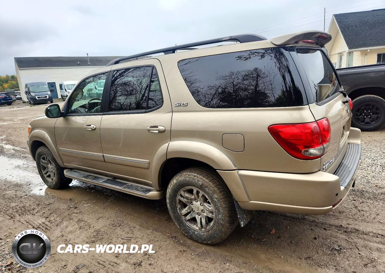 2006 Toyota Sequoia Sr5 VIN:5TDBT44A46S264306 - 2