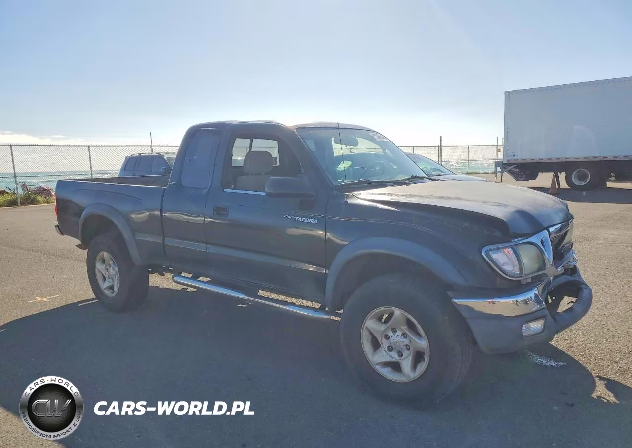 2004 Toyota Tacoma Prerunner V6 VIN:5TESN92NX4Z463521 - 4