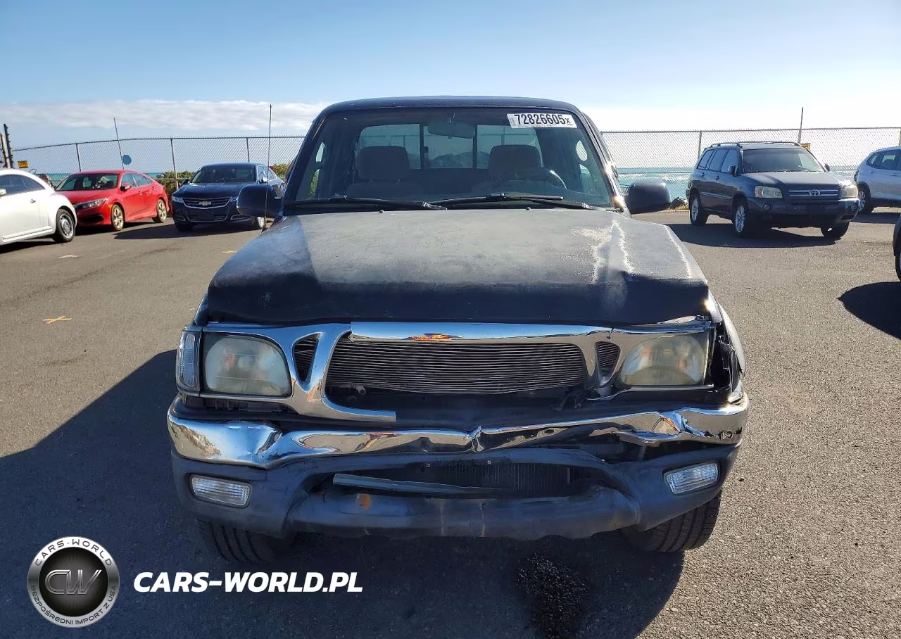 2004 Toyota Tacoma Prerunner V6 VIN:5TESN92NX4Z463521 - 5
