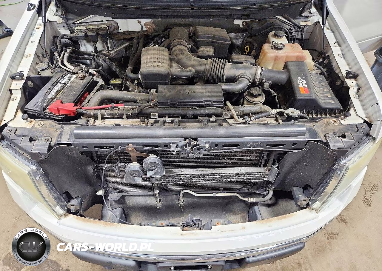 2010 Ford F150 Supercrew VIN:1FTFW1EV3AKE80415 - 11