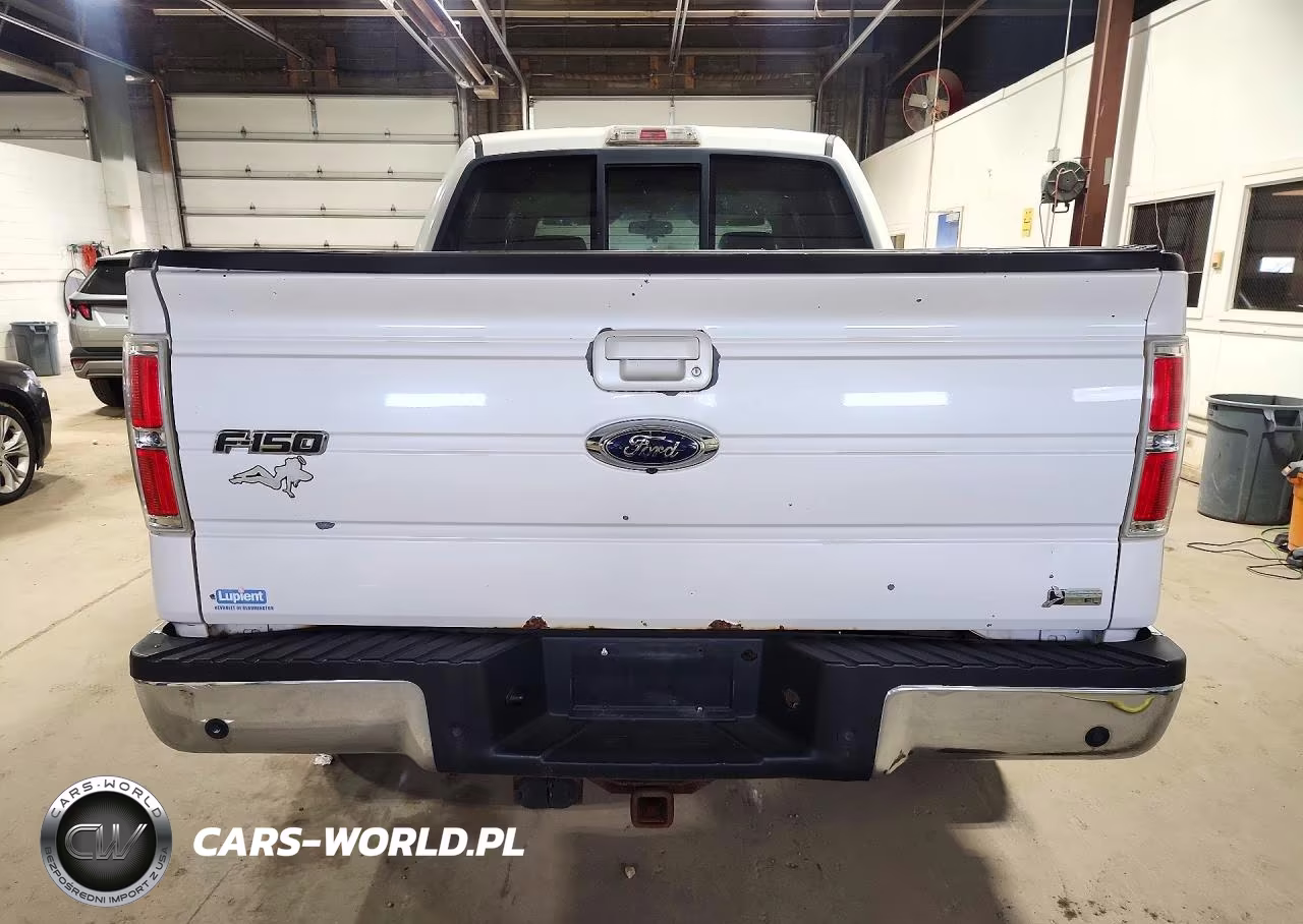 2010 Ford F150 Supercrew VIN:1FTFW1EV3AKE80415 - 6