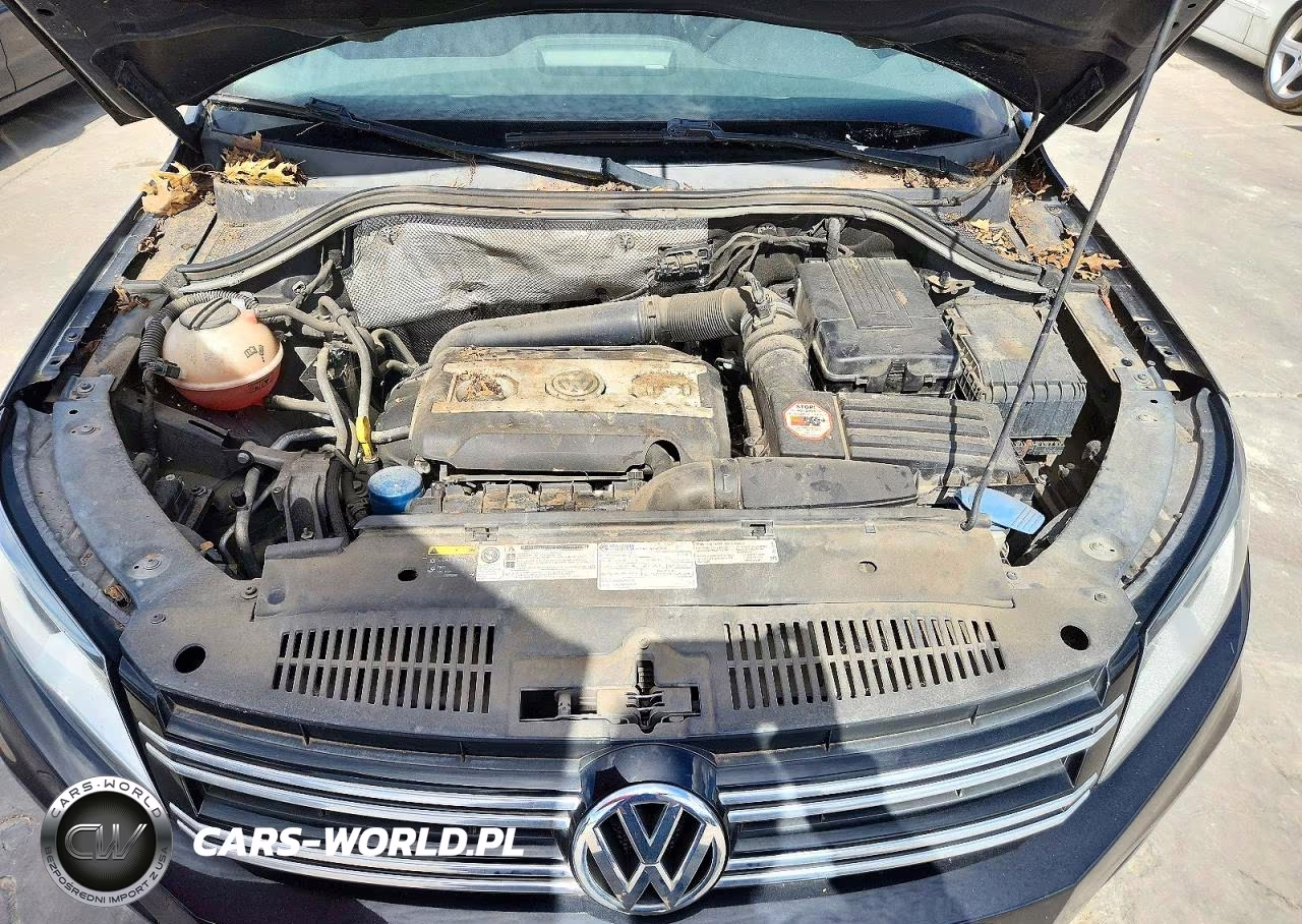 2015 Volkswagen Tiguan S VIN:WVGAV7AX2FW546911 - 11