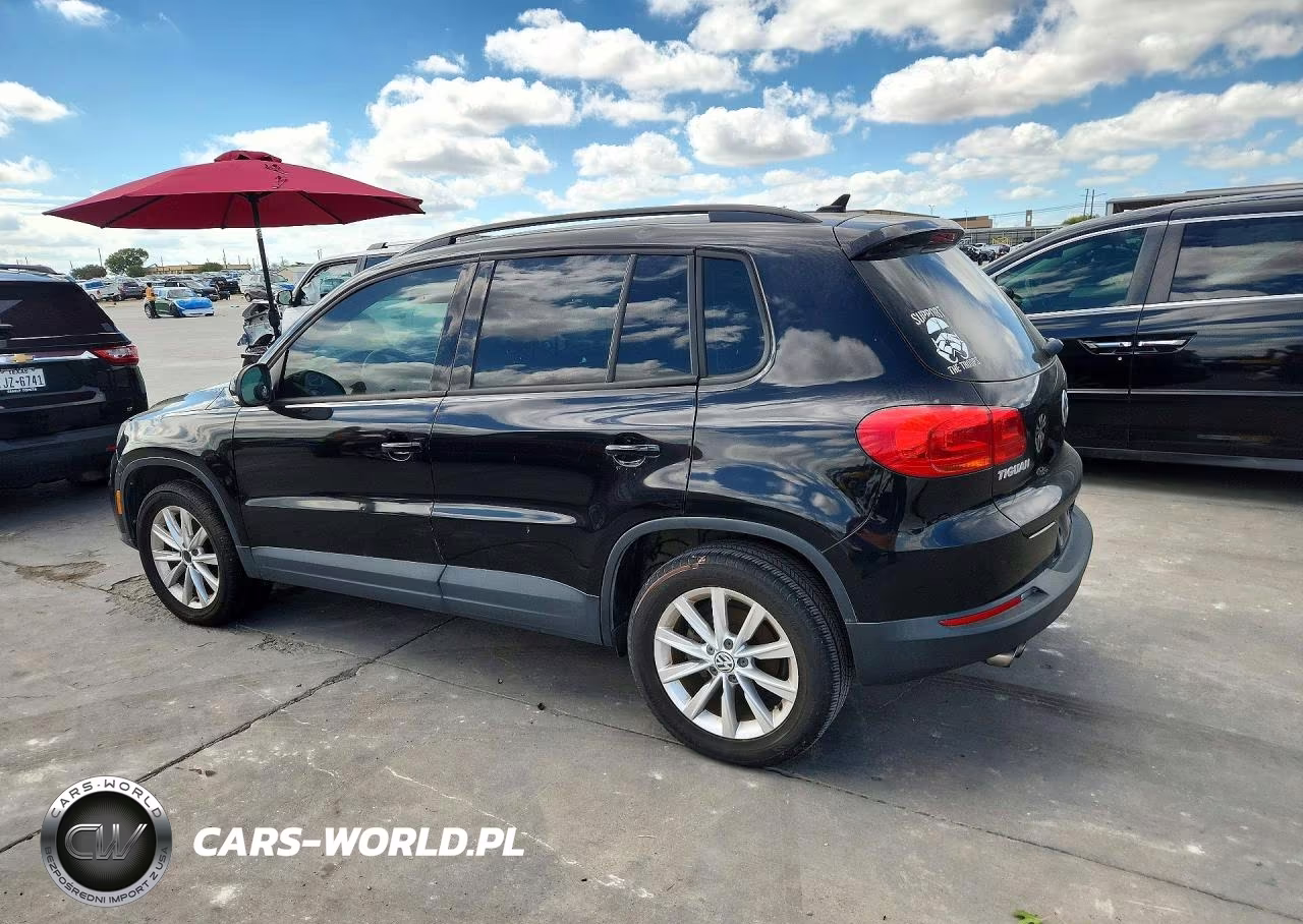 2015 Volkswagen Tiguan S VIN:WVGAV7AX2FW546911 - 2
