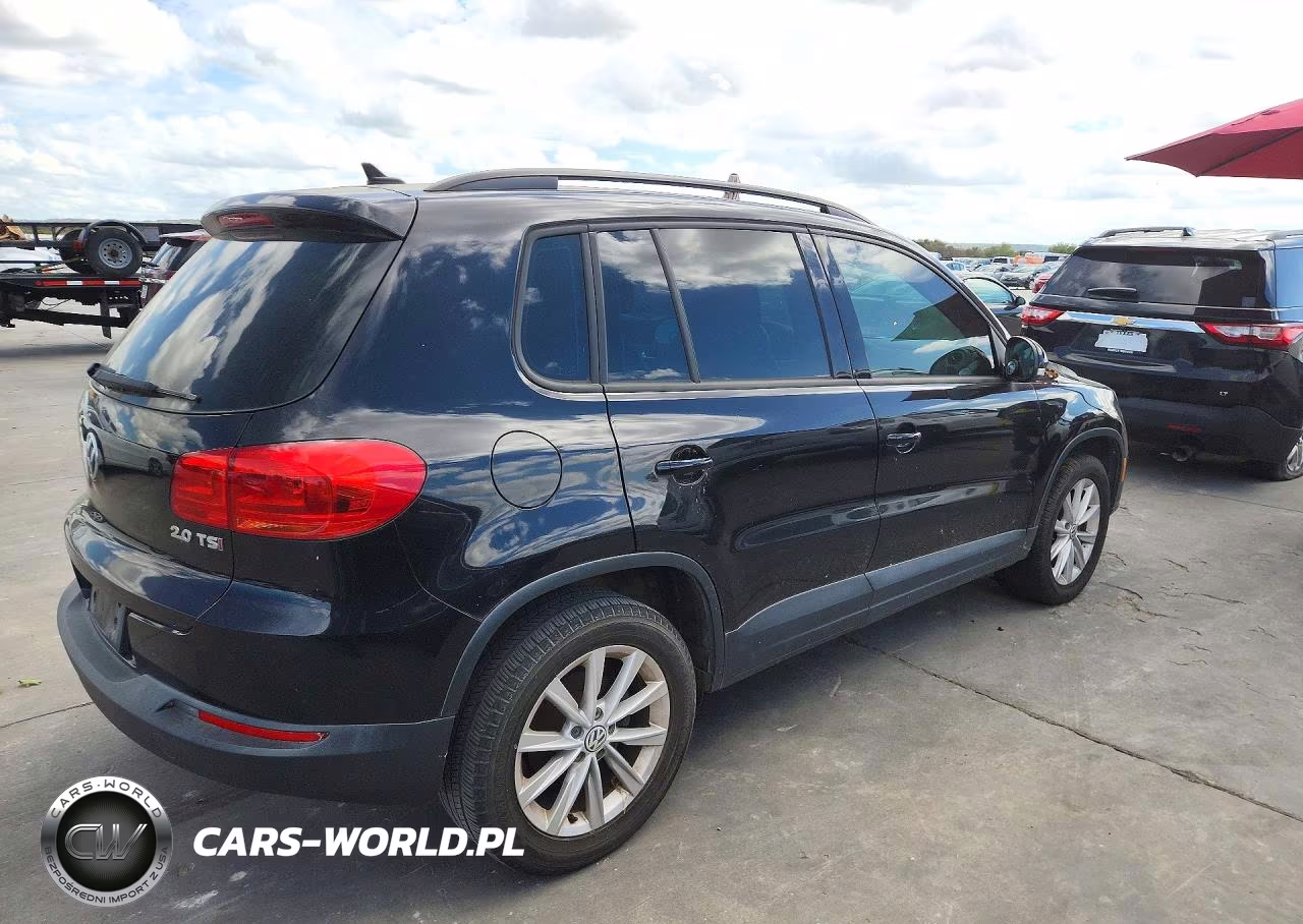 2015 Volkswagen Tiguan S VIN:WVGAV7AX2FW546911 - 3