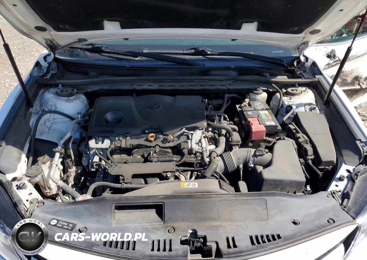 2020 Toyota Camry Le VIN:4T1C11AK4LU332516 - 11