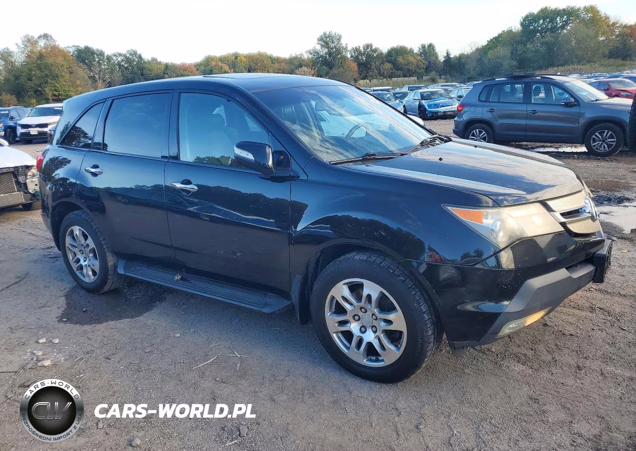 2009 Acura Mdx Technology VIN:2HNYD28669H533744 - 4